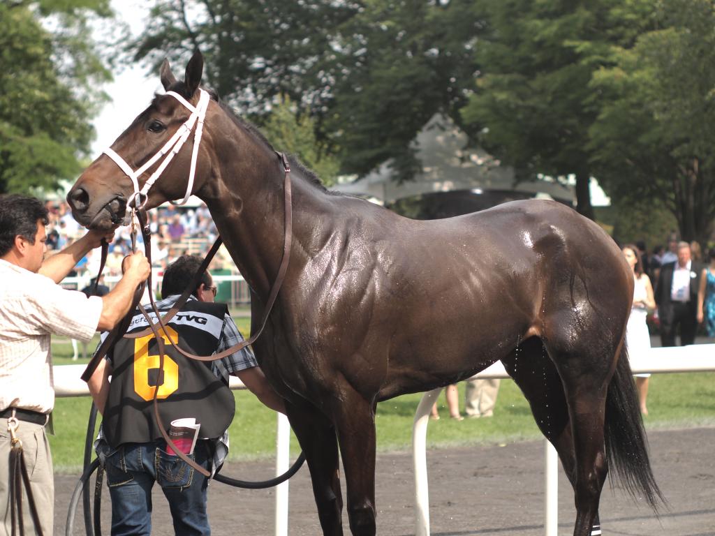 Belmont Stakes up for grabs to end uneven Triple Crown