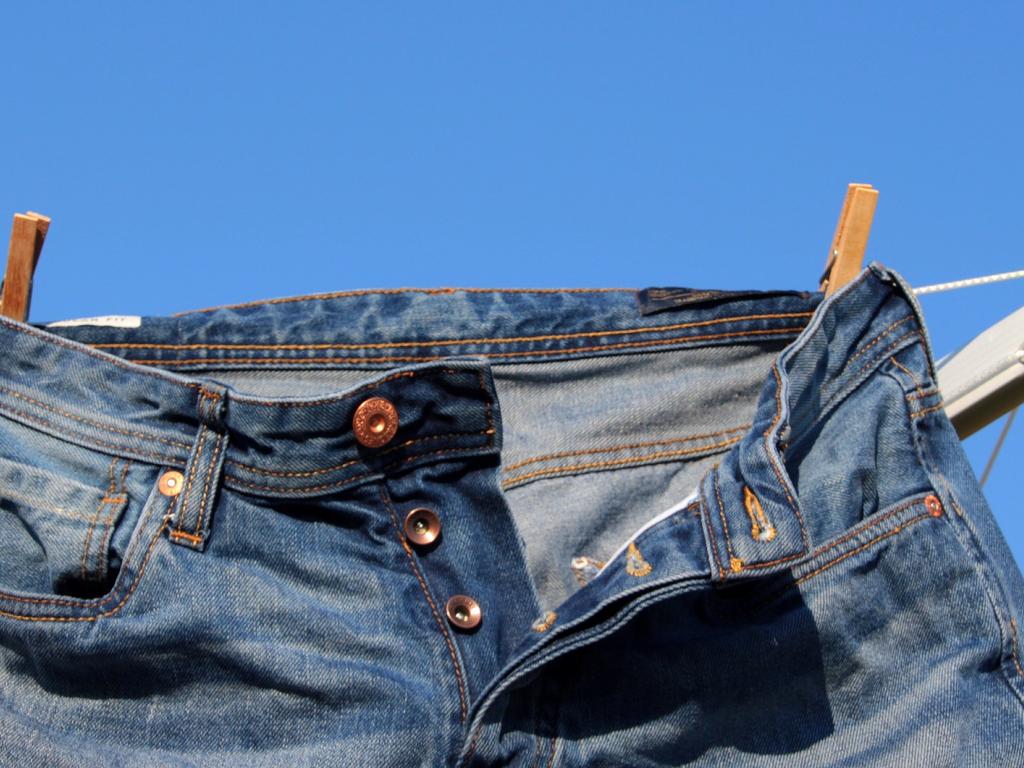 Zumiez Inc. (NASDAQ:ZUMZ) One of Today's Biggest Gainers - Up $3.00