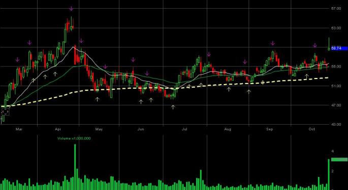 Pnra stock options